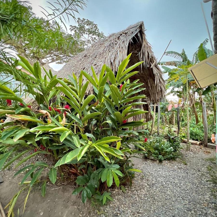 Kaluta Hostel Palomino Exterior photo